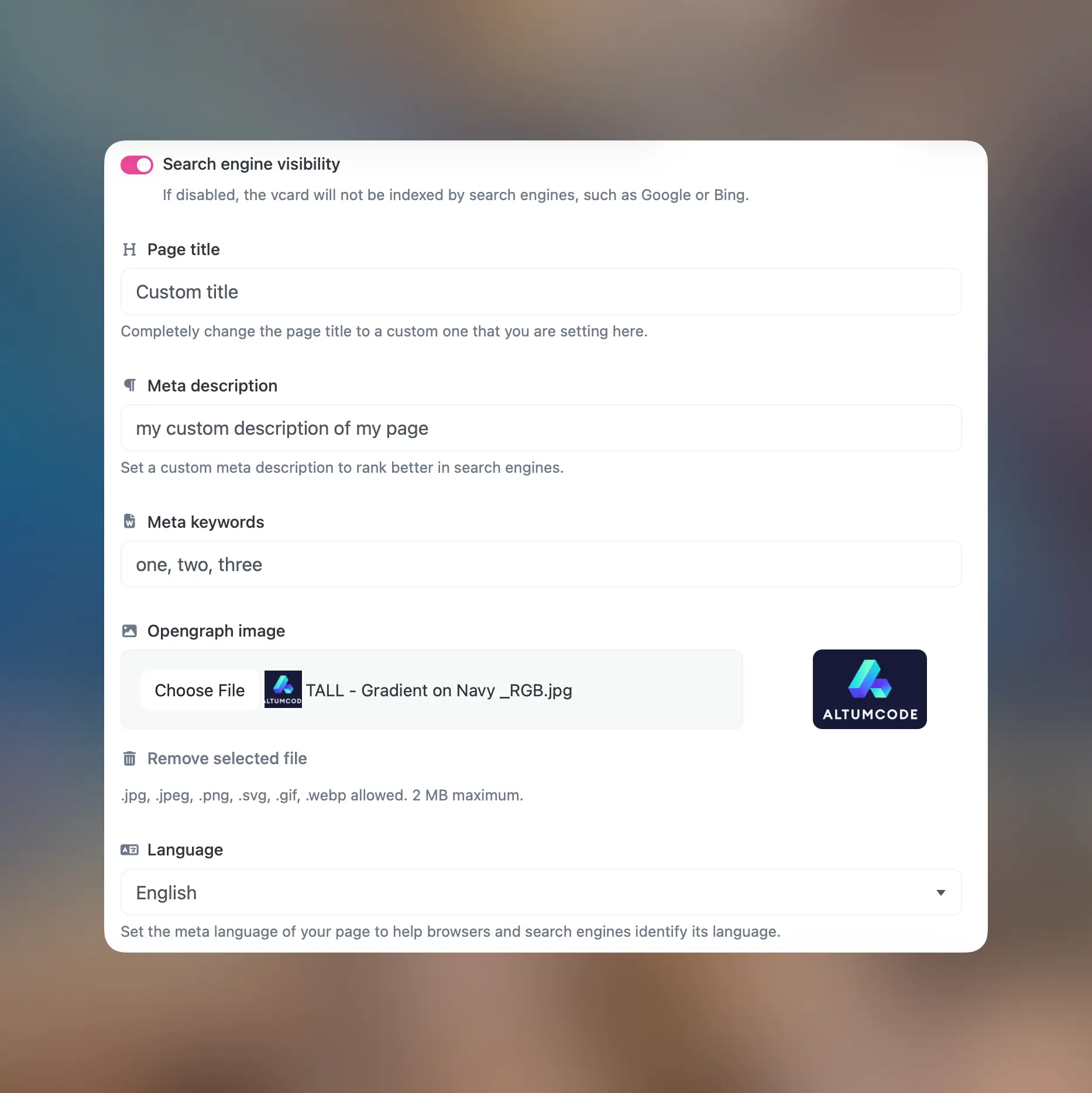 66vcard screenshot displaying the SEO available settings